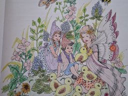 whatsapp bild 2025-09-05 um 18.17.35_b1f00676